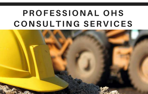 OHS Consultant in Sydney