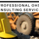 OHS Consultant in Sydney