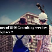 Benchmark OHS Consultant